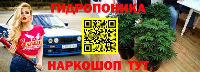 круглые Лесосибирск