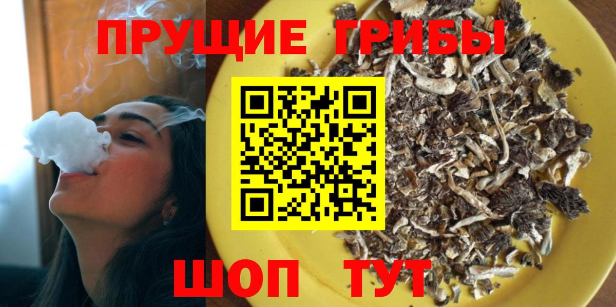 Галлюциногенные грибы Psilocybine cubensis  Вход с VPN  Стрежевой 