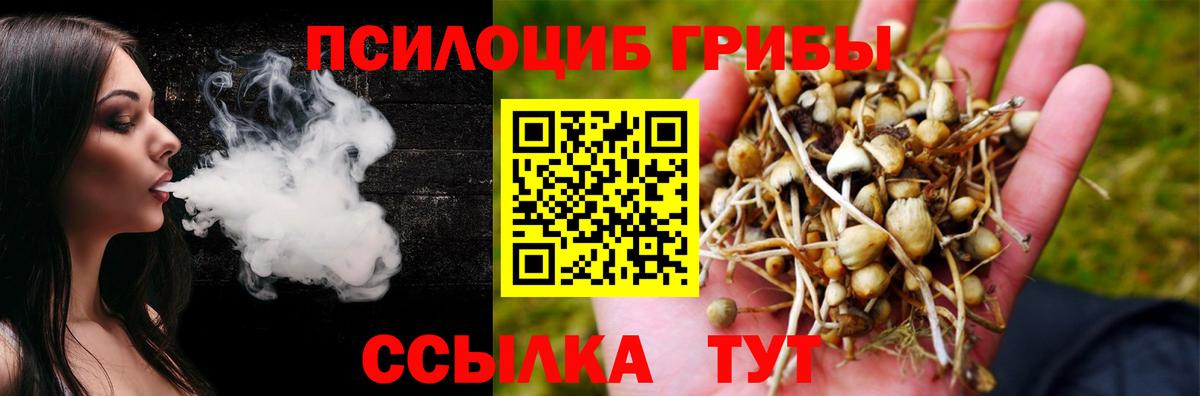 Галлюциногенные грибы мицелий Стрежевой